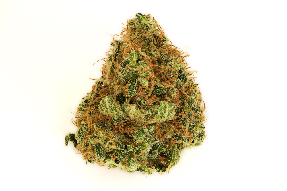 photo super skunk sensi seeds macro