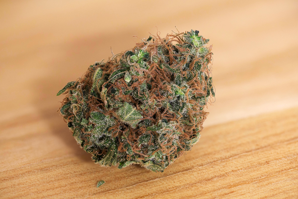 photo super skunk sensi seeds macro
