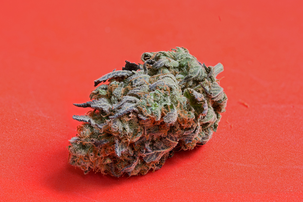 photo de trainwreck humboldt macro zoom